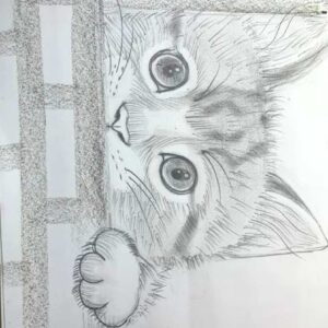 Cat Sketch | 1Hr | Pre - Recorded | 10+Years & Moms