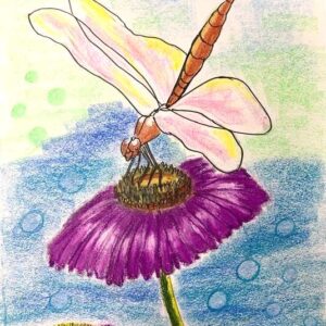 Dragonfly On Blooming Flower | 1Hr | Pre - Recorded | 10+Years & Moms